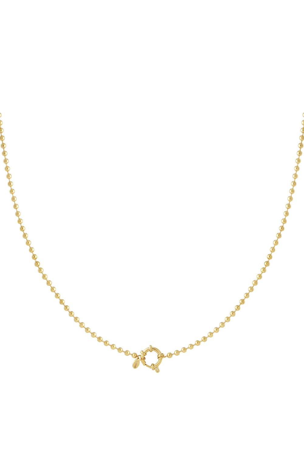 Stainless Steel Chain Necklaces Geometric Casual Daily Simple Series Women's jewelry