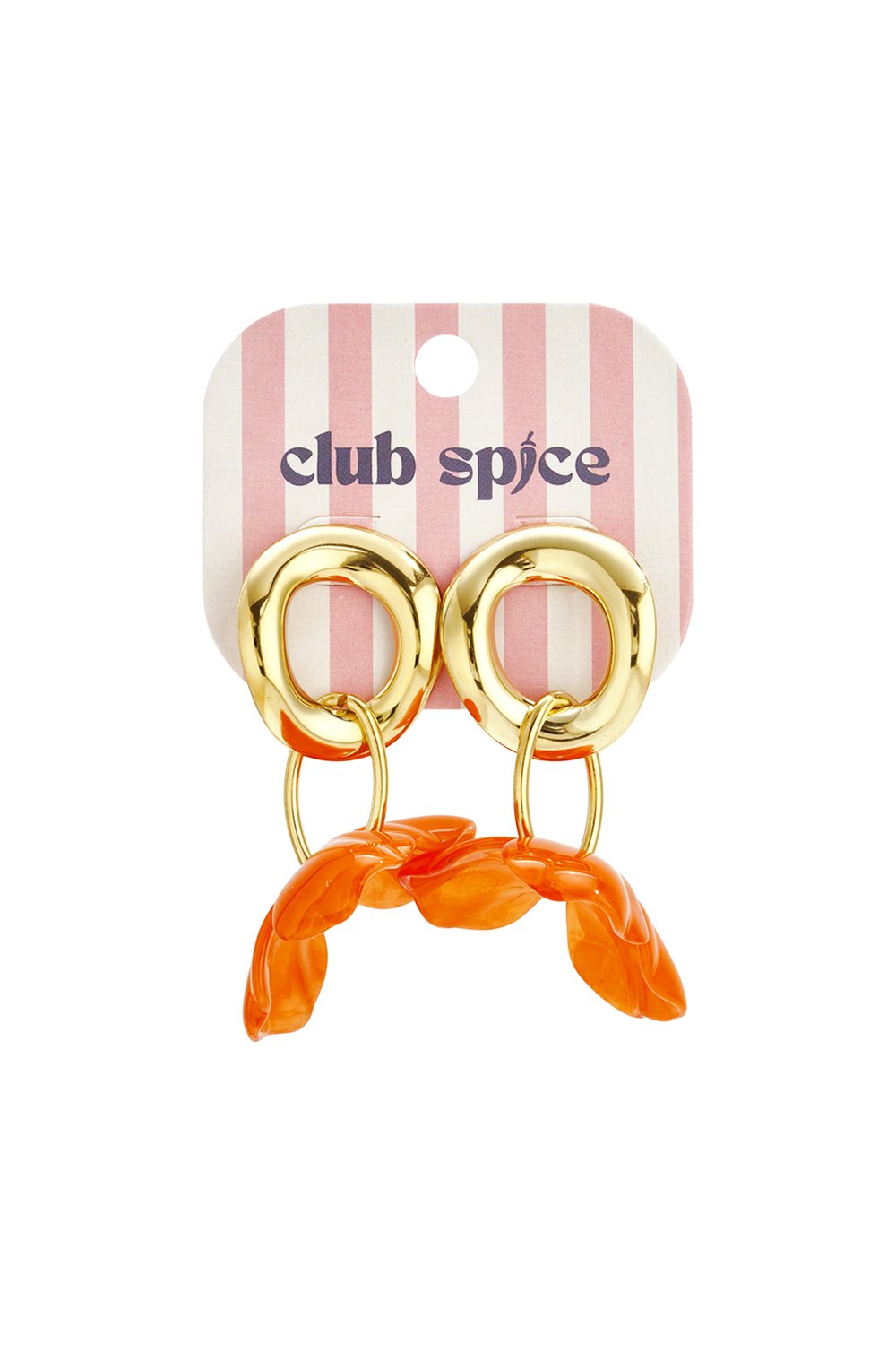 Stainless Steel Drop Earrings Flower Casual Daily Simple Series Women's jewelry h5Picture5