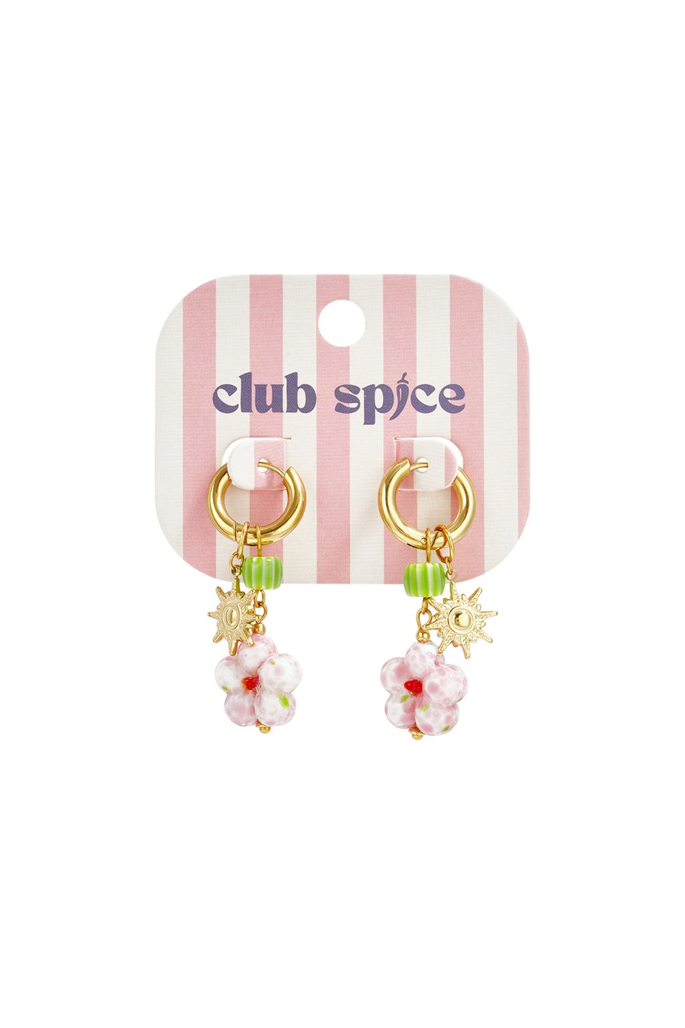 Stainless Steel Drop Earrings Flower Simple Daily Romantic Series Women's jewelry h5Picture5