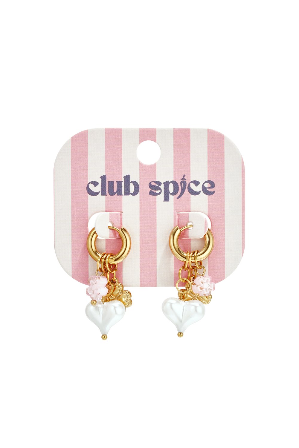 Stainless Steel Drop Earrings Heart Casual Valentine's Day Romantic Series Women's jewelry Picture4