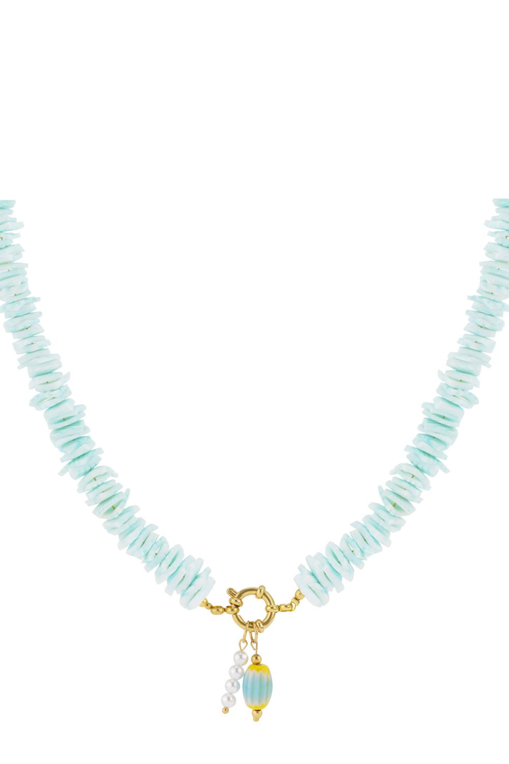 Seashell Necklace Picture6