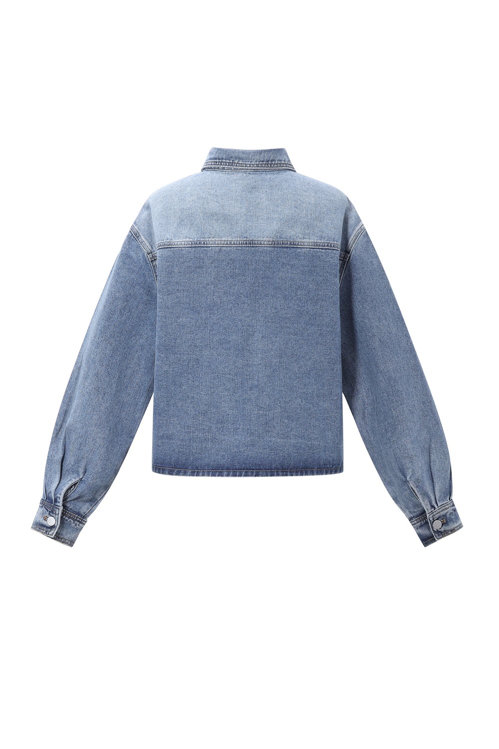 Strass Denim Jacket h5Picture3