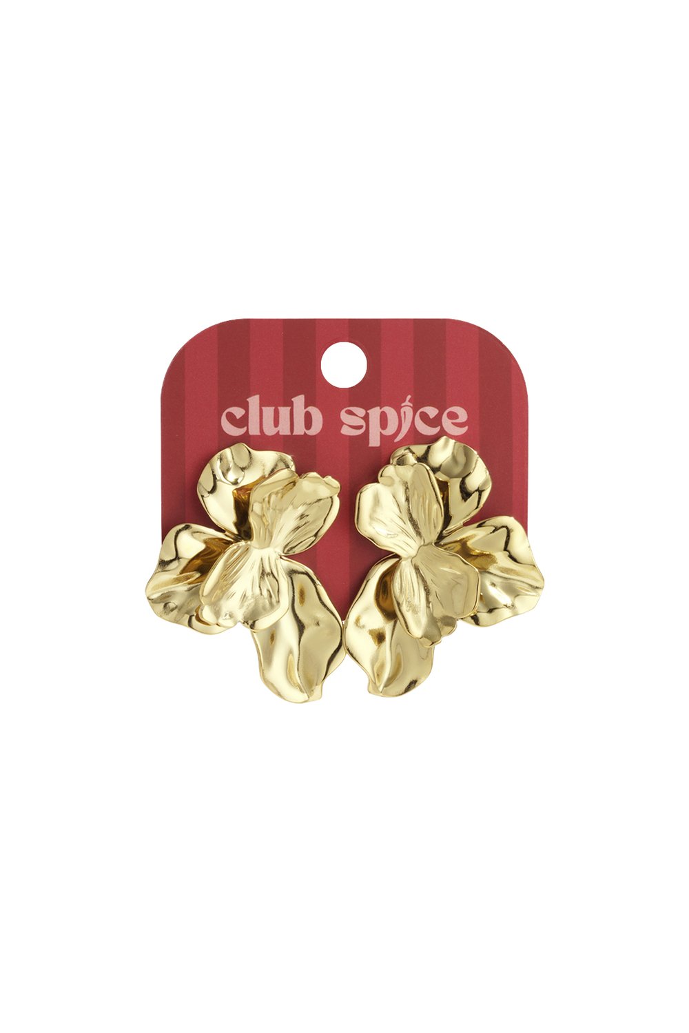 Stainless Steel Stud Earrings Flower Casual Daily Simple Series Women's jewelry Picture5