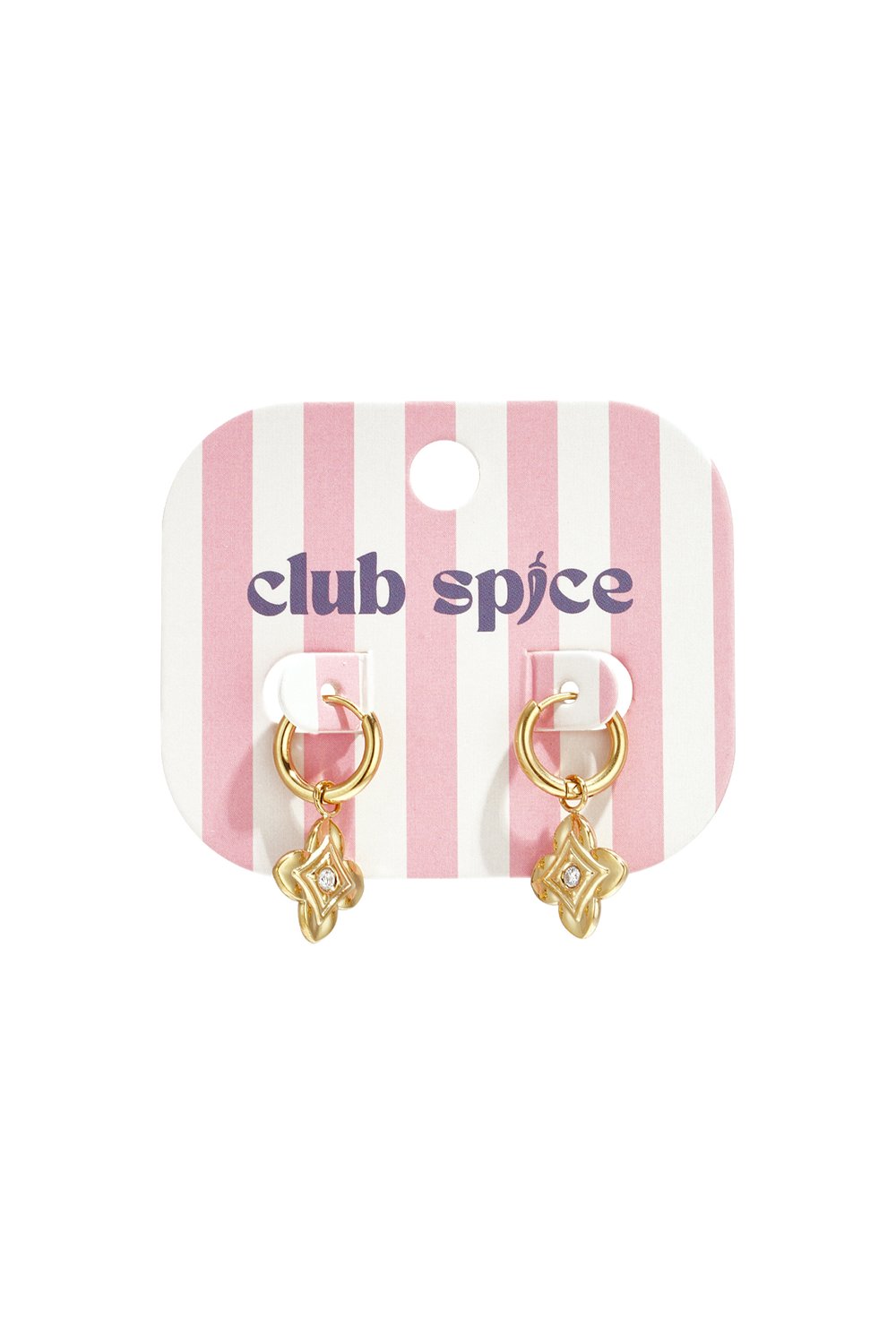 Stainless Steel Drop Earrings Flower Simple Daily Simple Series Women's jewelry h5Picture2