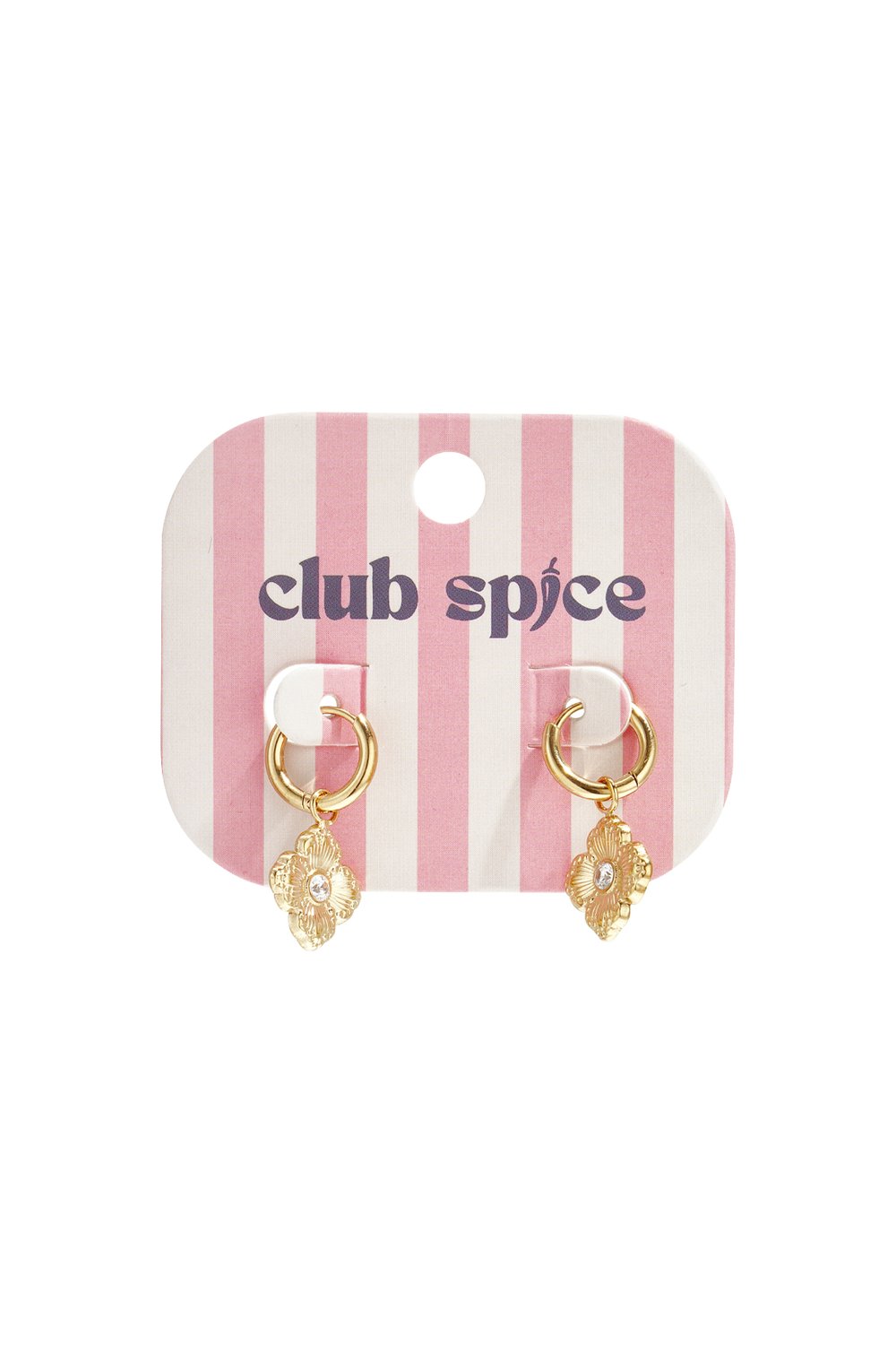 Stainless Steel Drop Earrings Flower Simple Daily Simple Series Women's jewelry h5Picture2