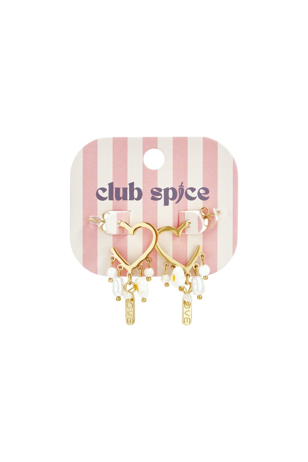 Stainless Steel Drop Earrings Heart Sweet Daily Romantic Series Women's jewelry h5Picture4