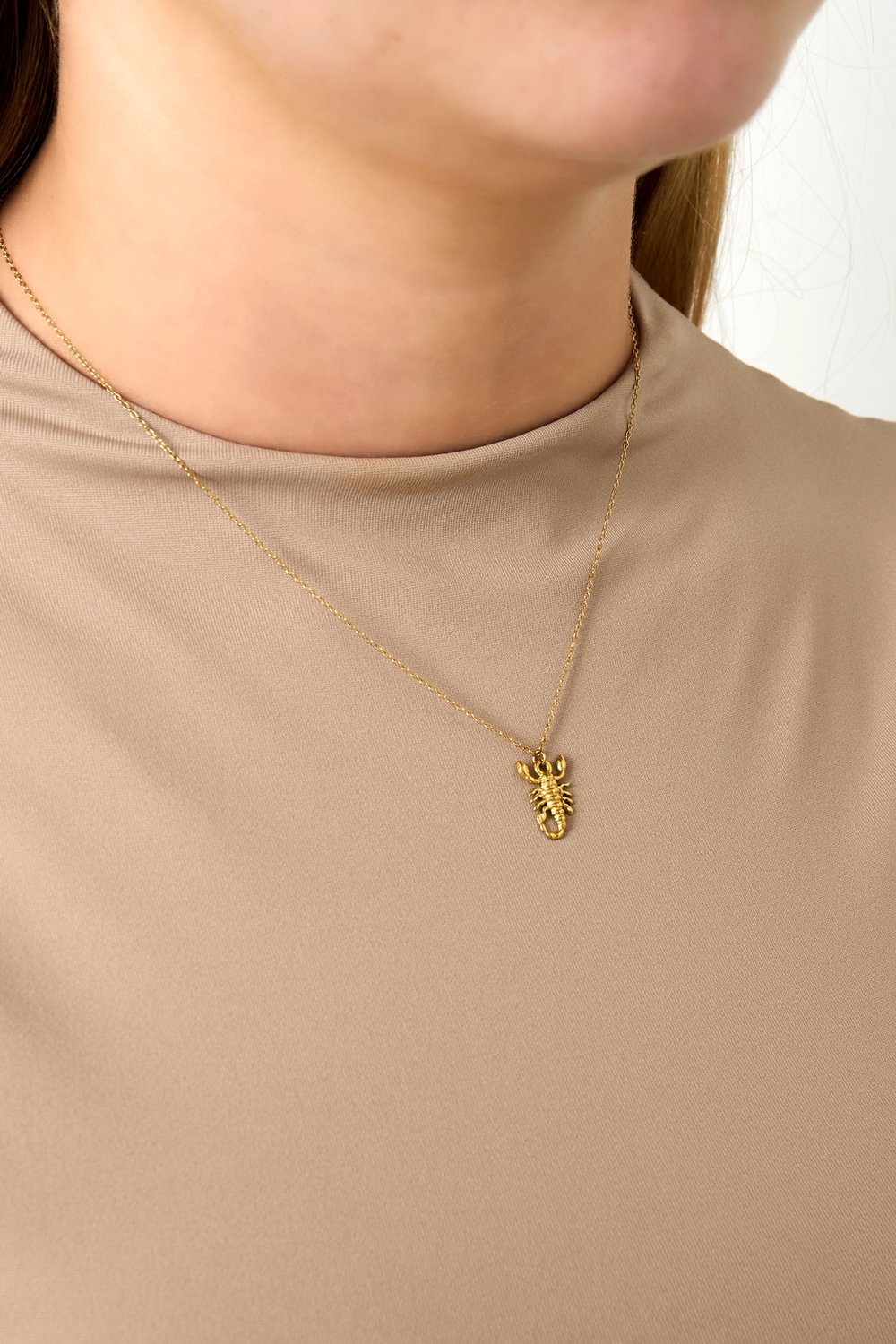 Skorpion-Geist-Halskette h5Bild2