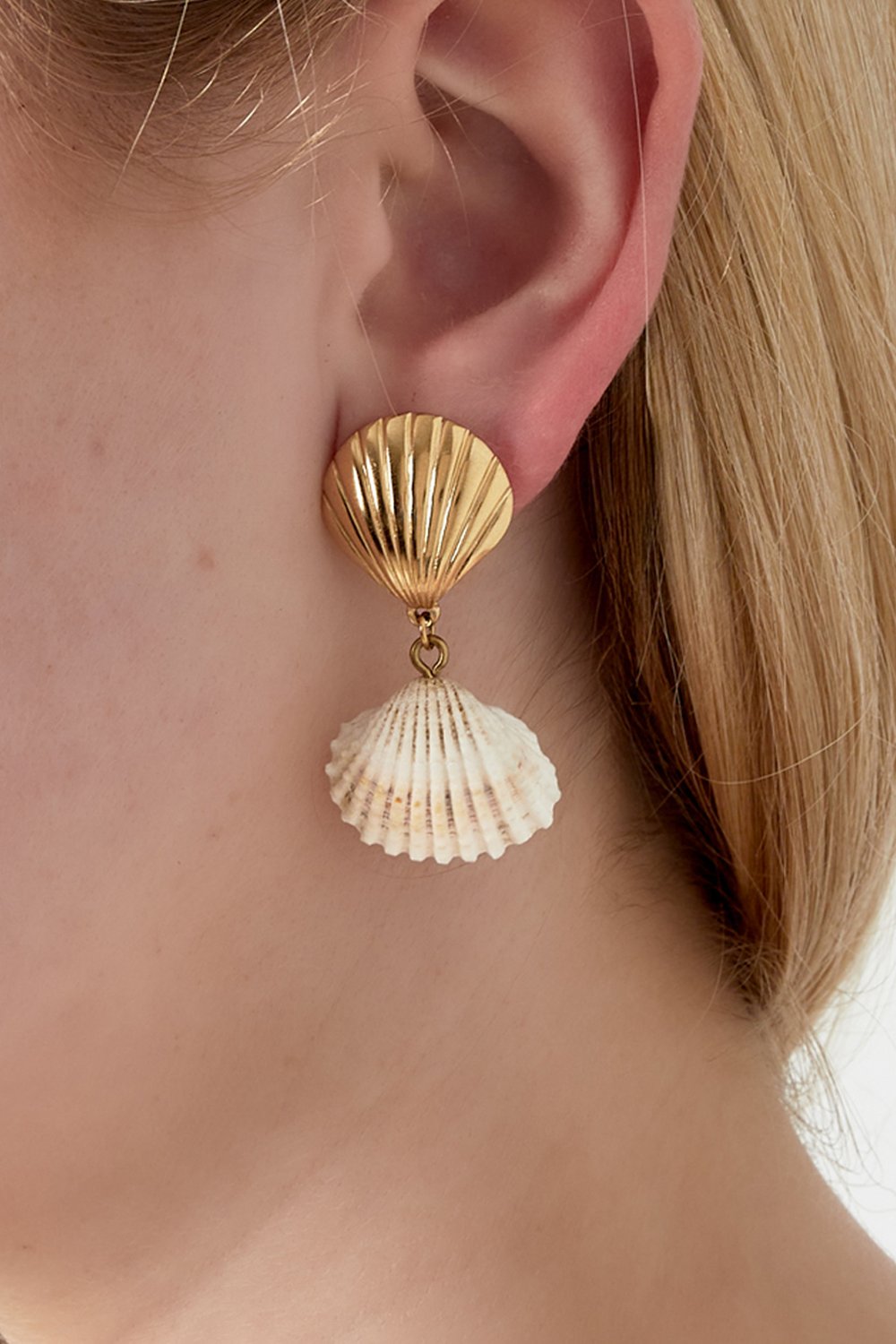 Shell and sea Earring Picture2