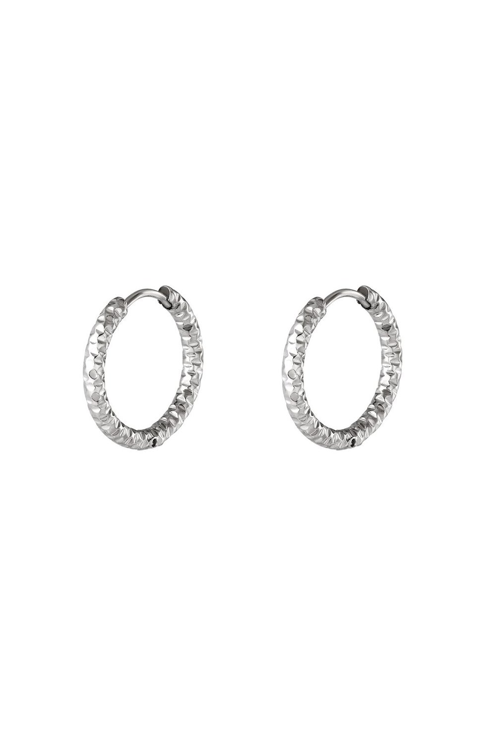 stainless steel hoop earrings  