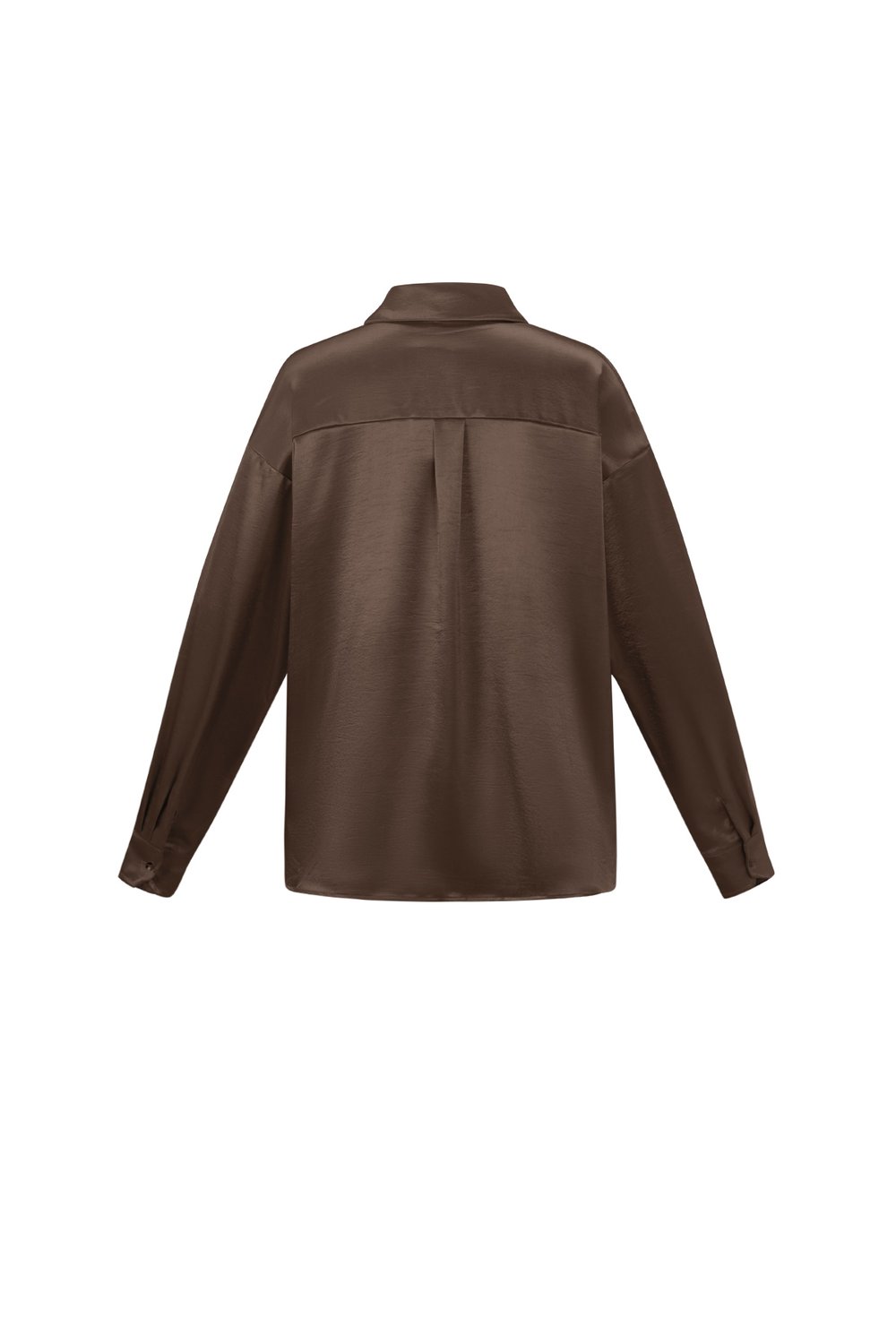 Silk Look Blouse h5Picture3