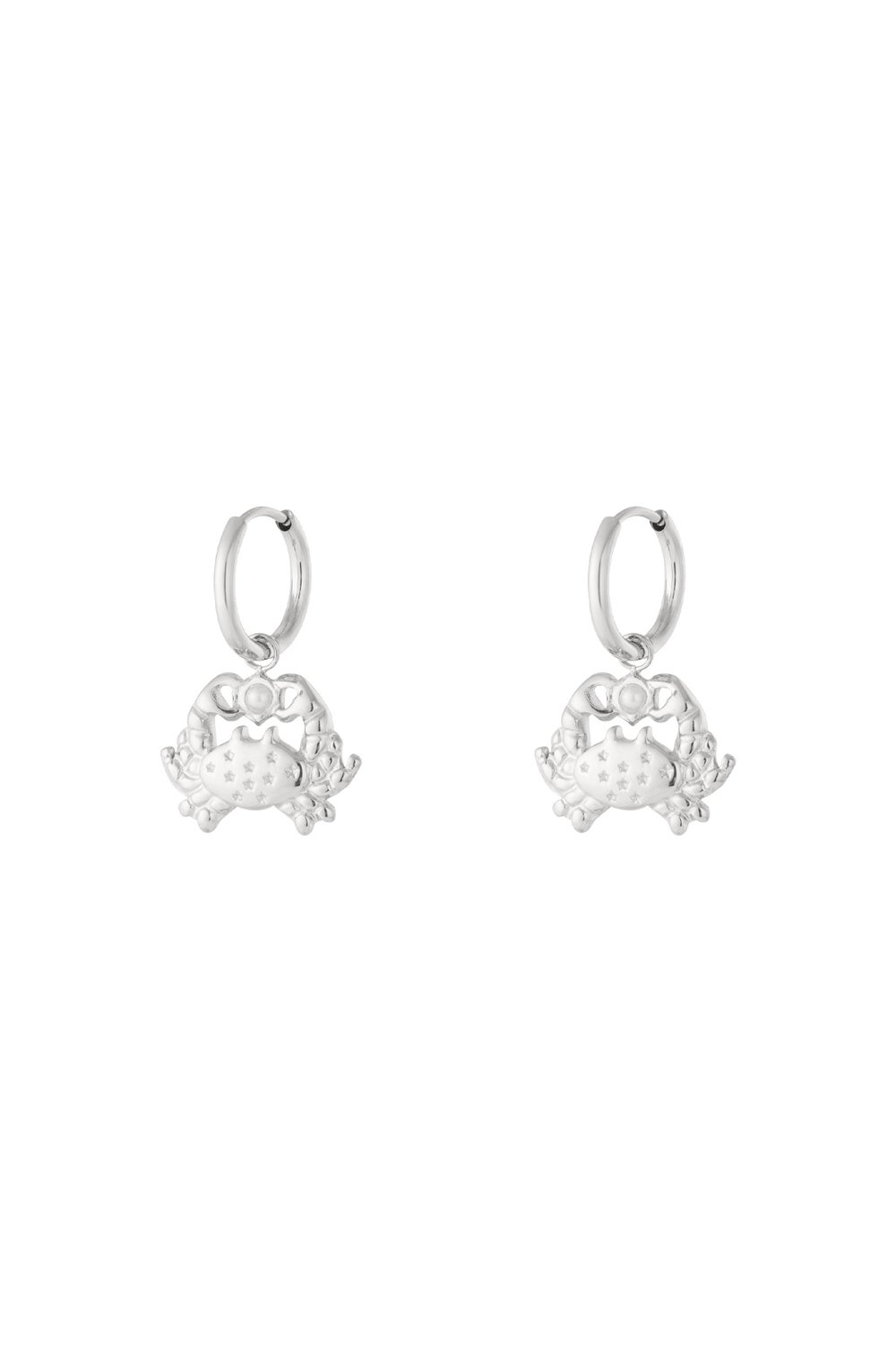 Drop Earrings Animal Casual Daily Simple Series Women's jewelry h5Picture3