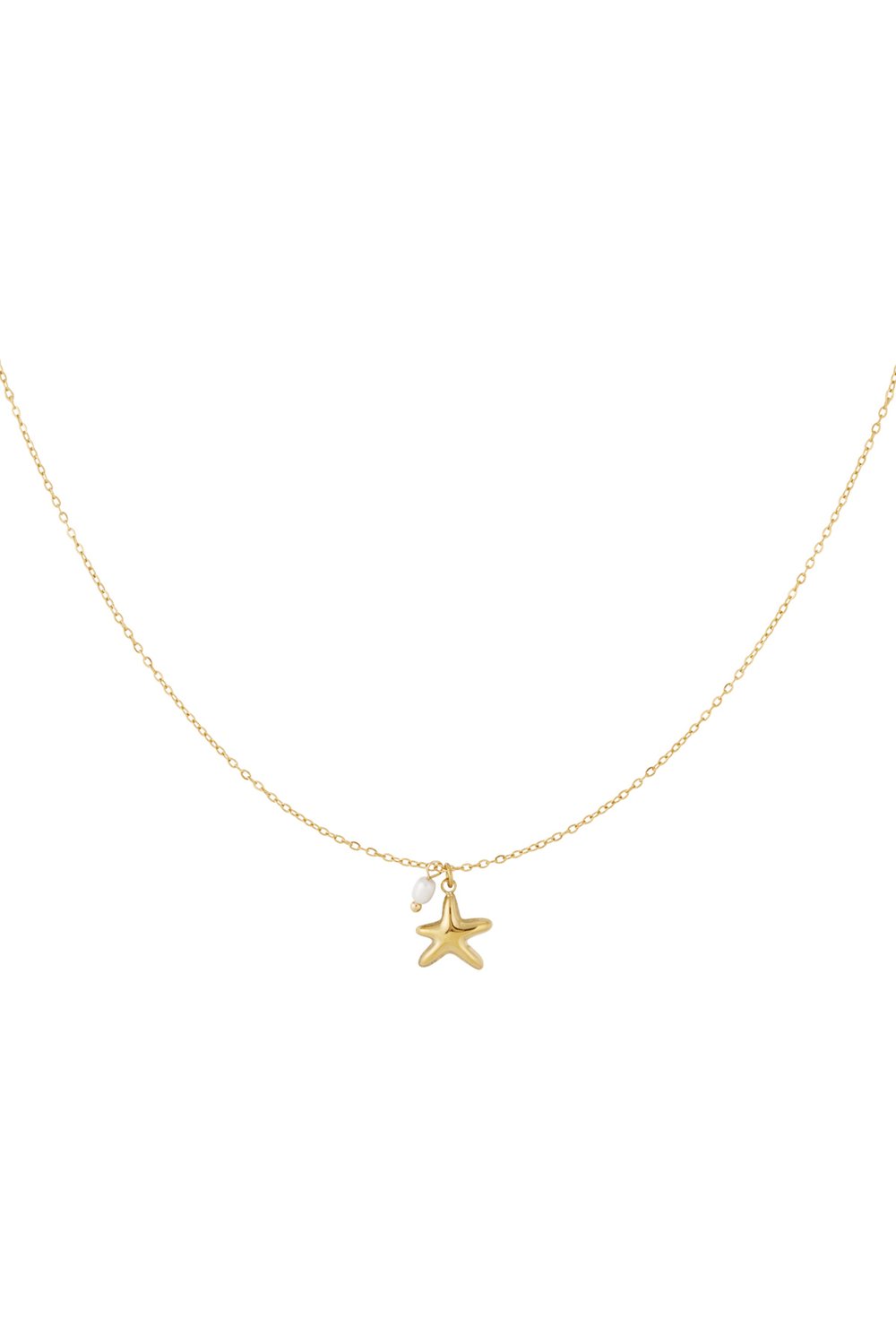 Collana a forma di stella marina