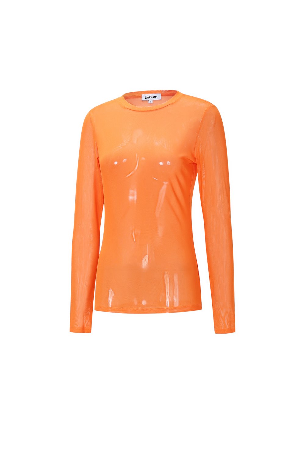 Mesh Longsleeve Top Picture2