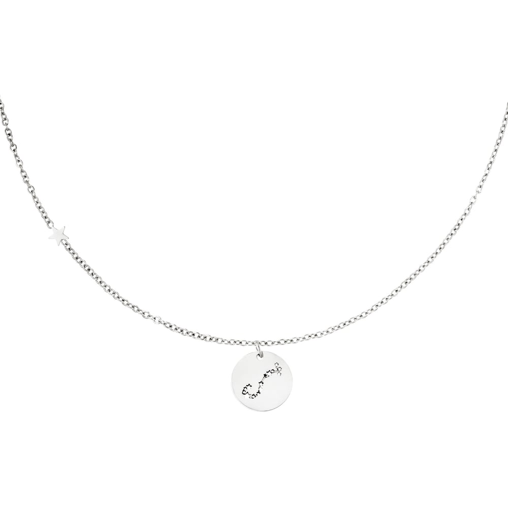 Necklace zodiac sign Aries