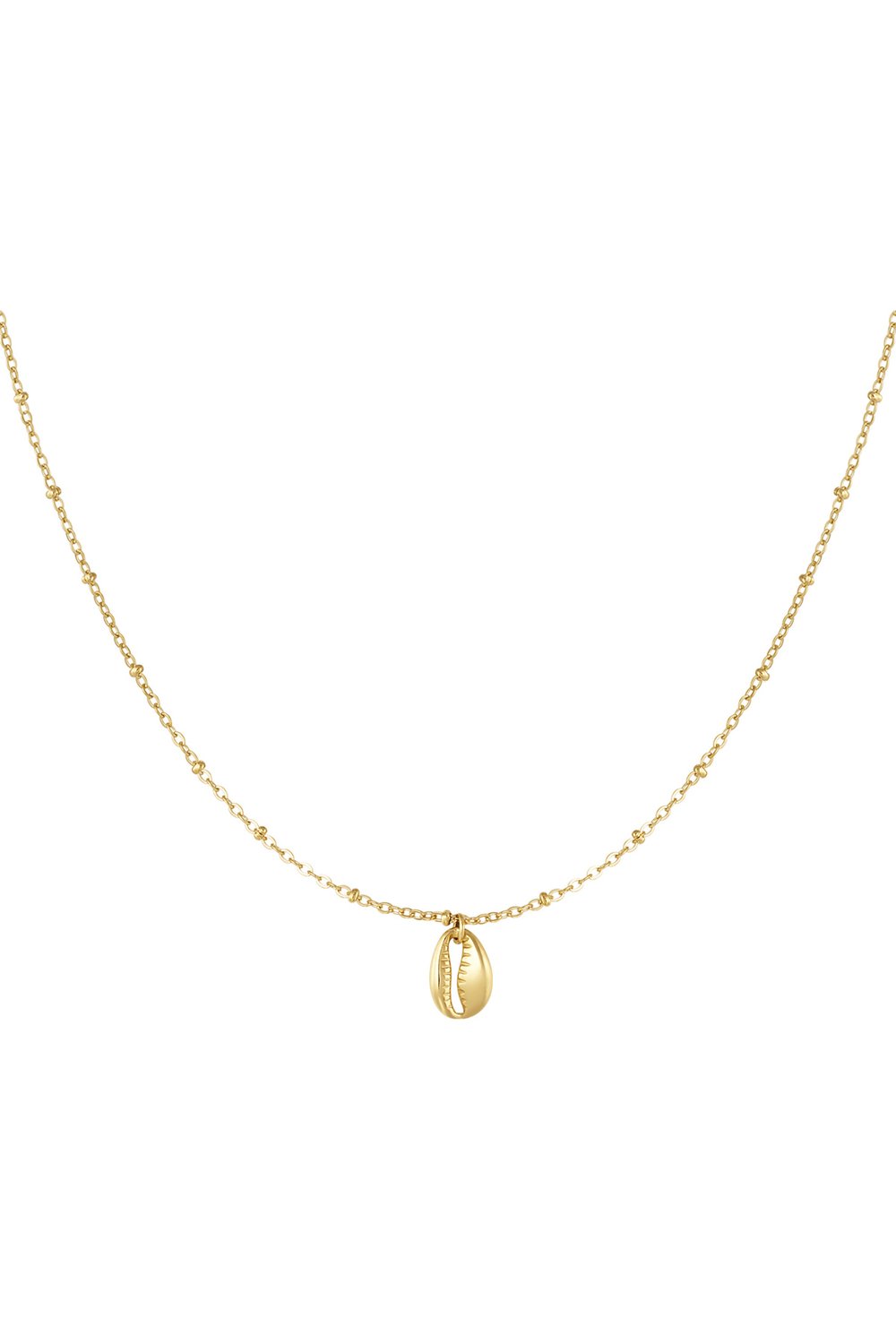 link chain with shell 