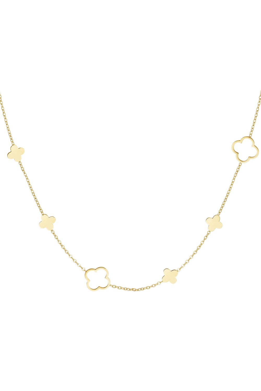 necklace different clovers