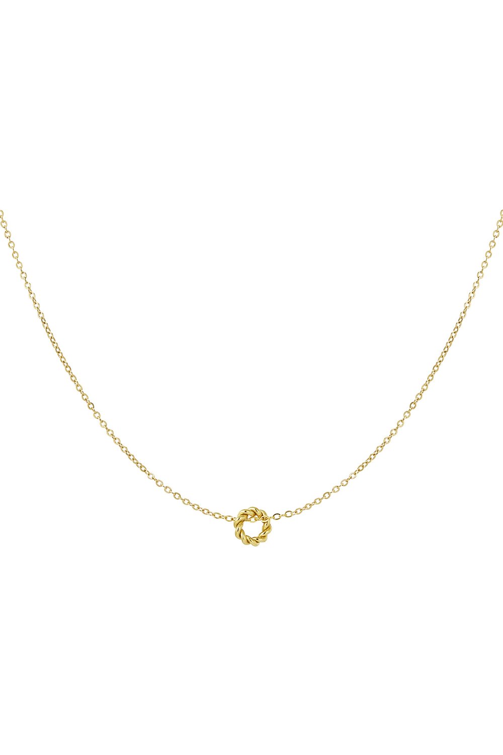 classic necklace with twisted charm