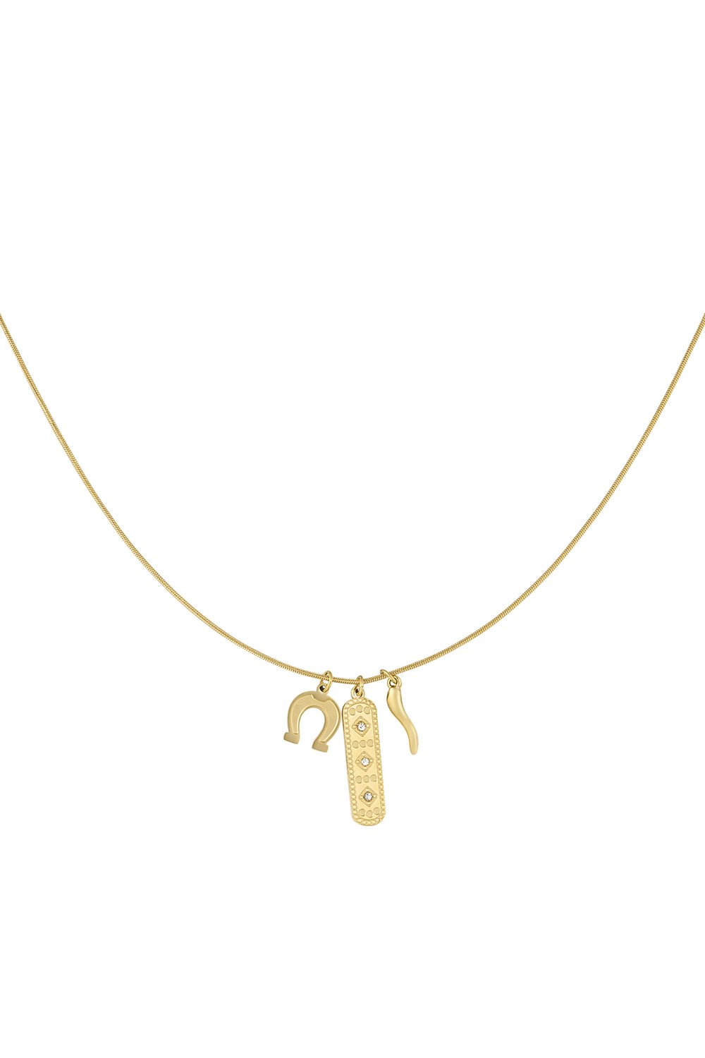 lucky hoof necklace 