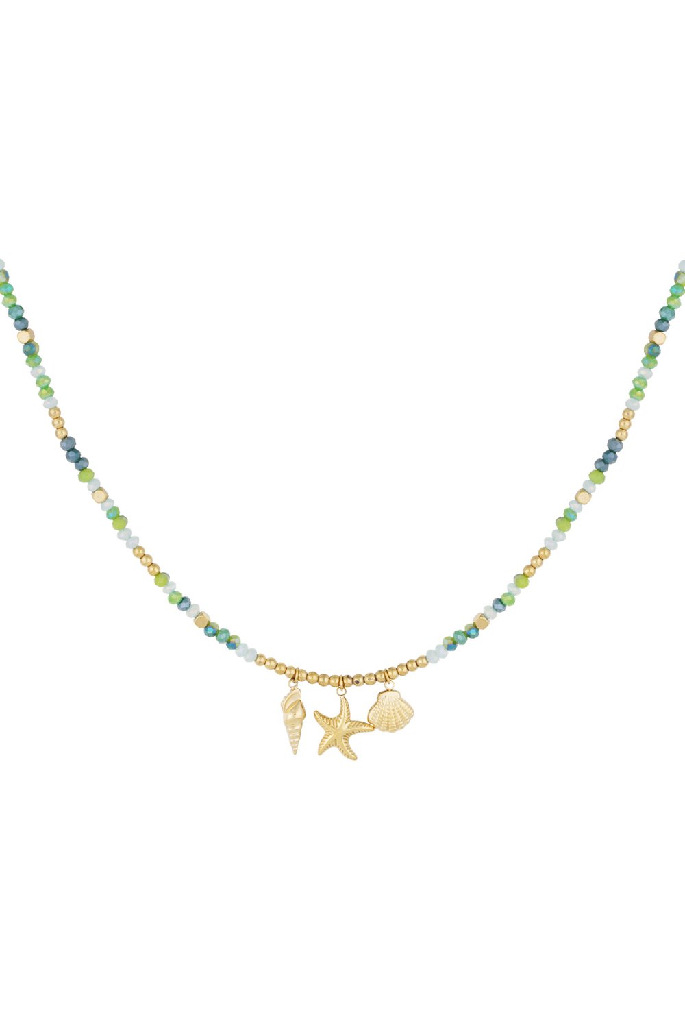 necklace shell dream