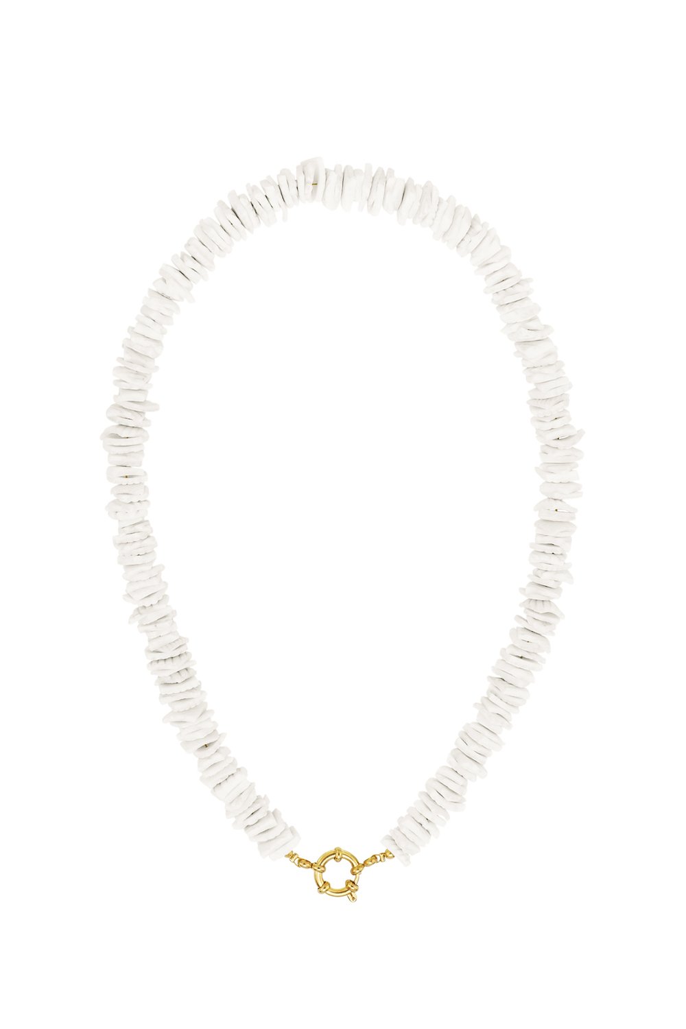 Seashell Necklace