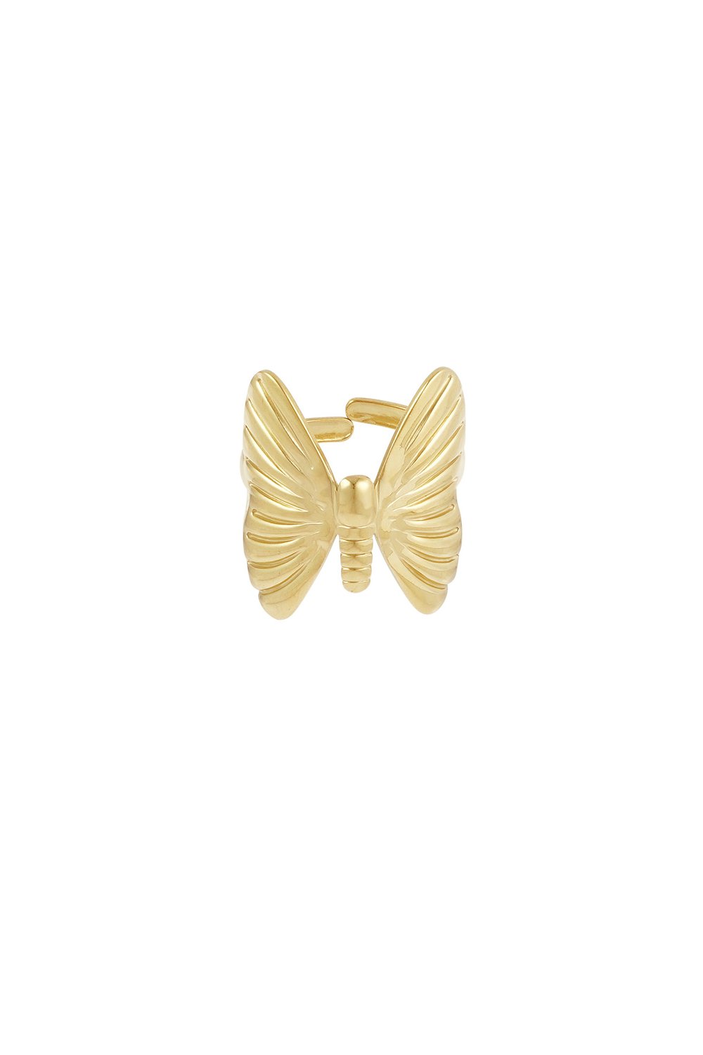 ring fly high