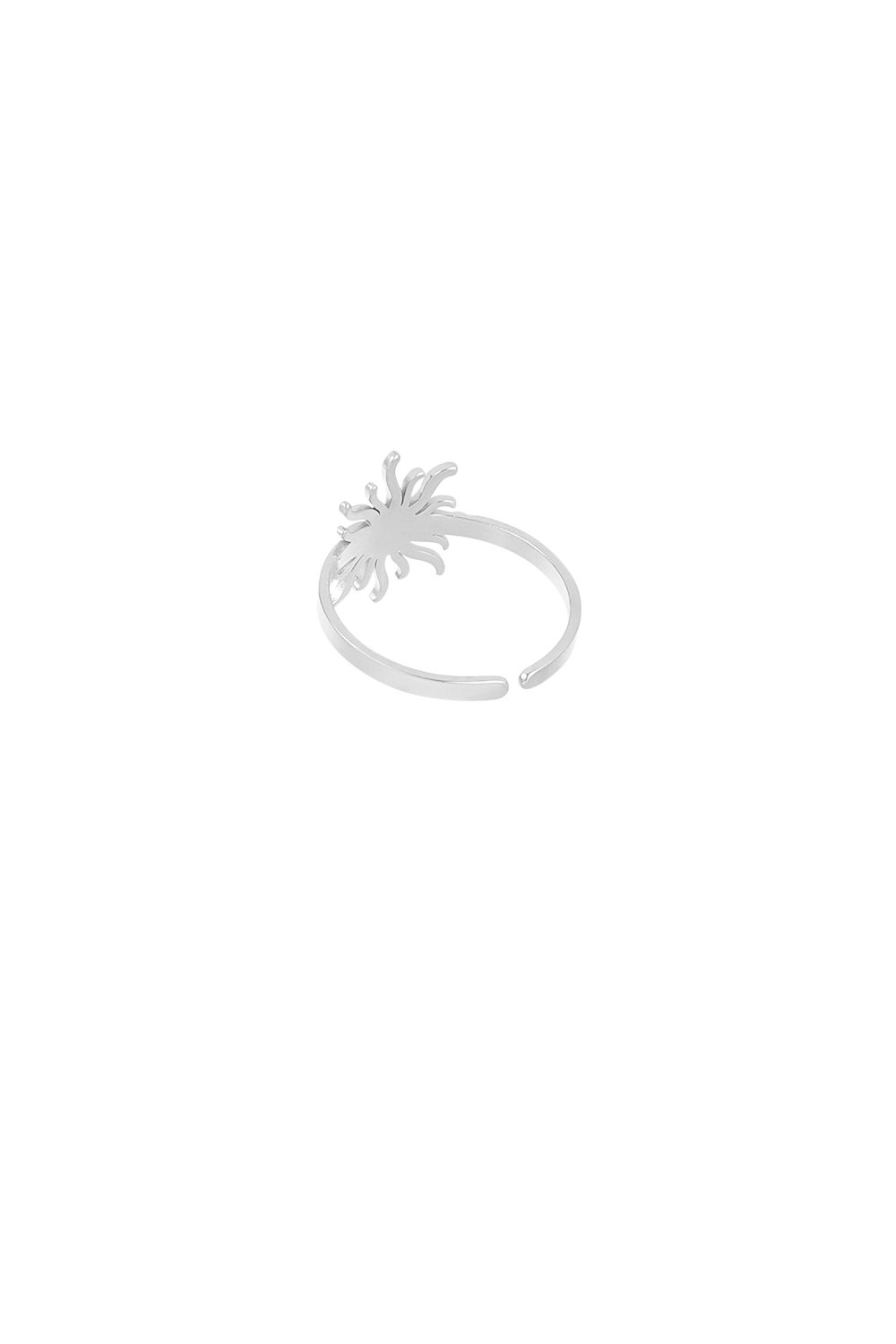 Sunny Swirl ring - Silver Color color h5Picture4