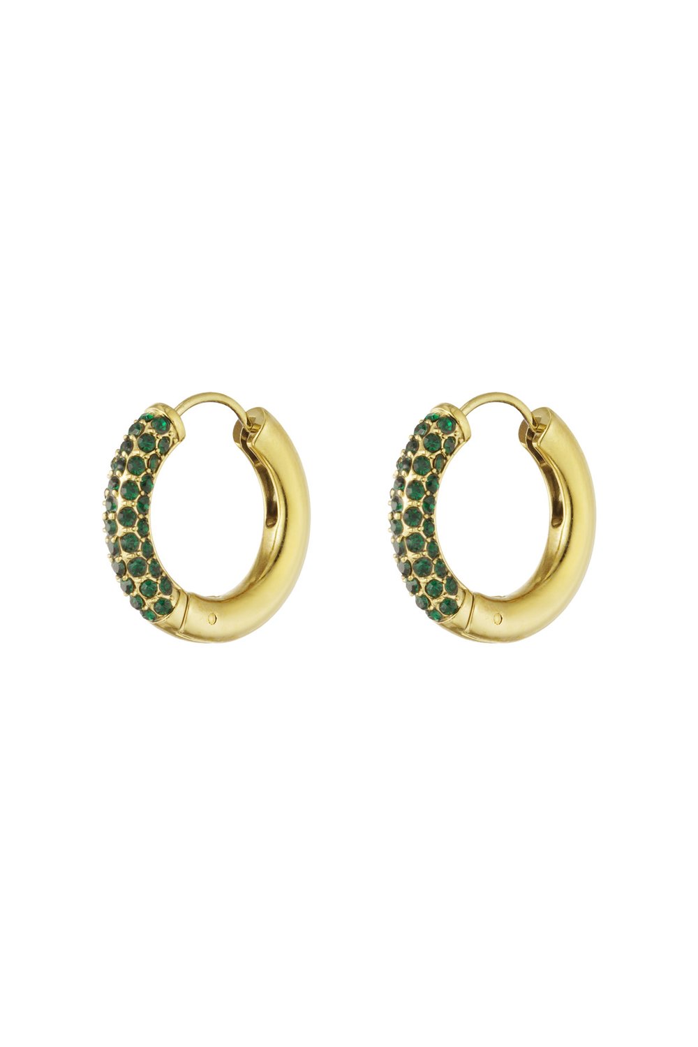 Shiny Rings earrings