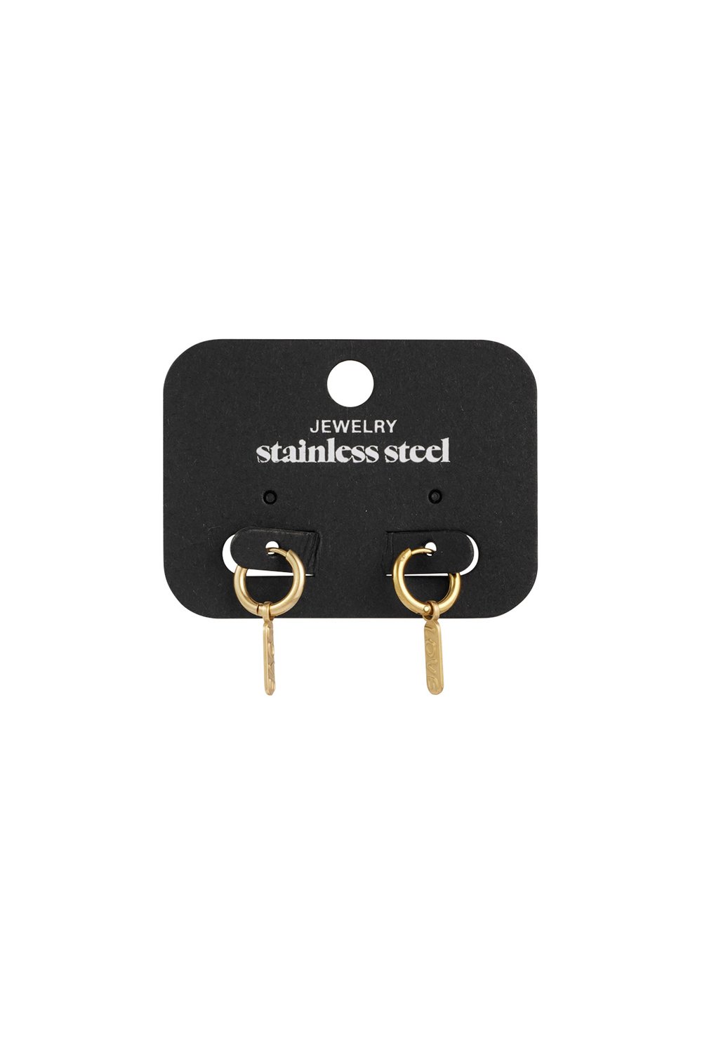 lovely tag earrings h5Picture3