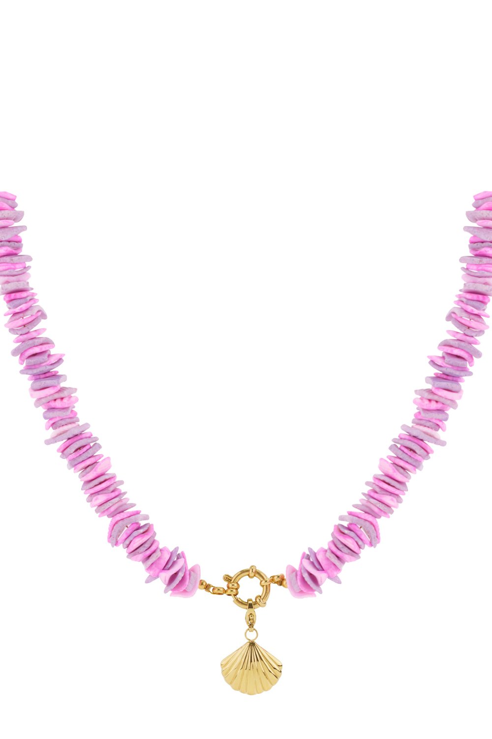 Seashell Necklace Picture5