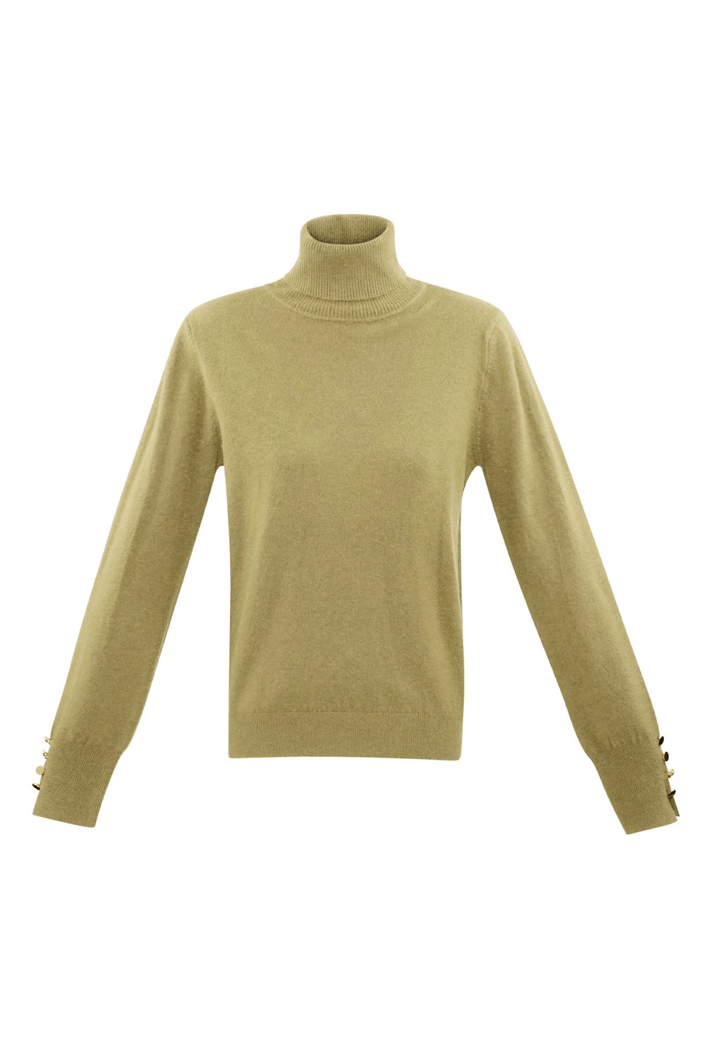 Tender Touch turtleneck