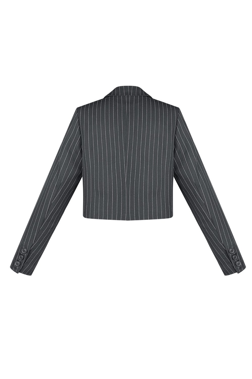 Pinstripe Cropped Blazer h5Picture8