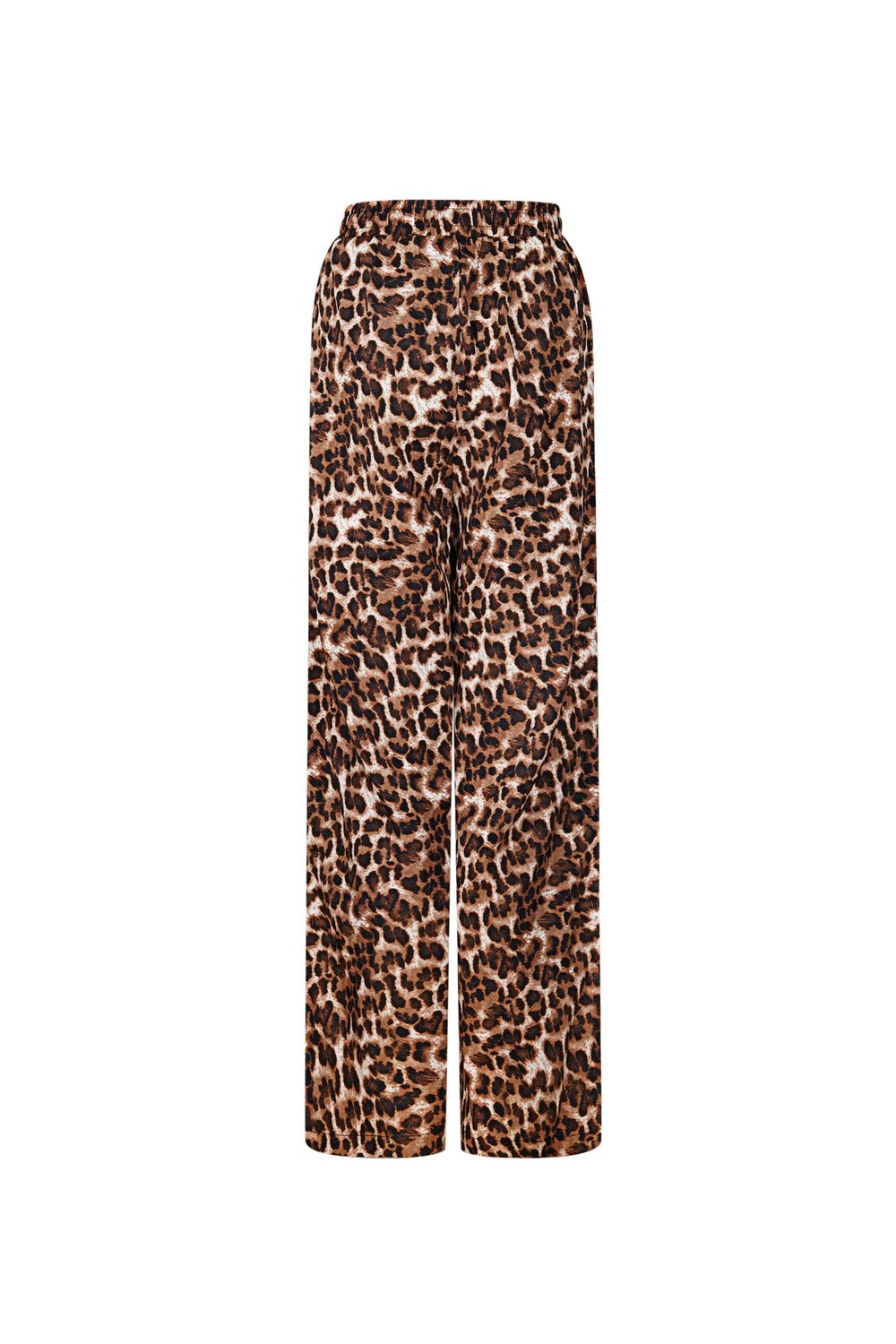 Leopard Print Pants Picture5