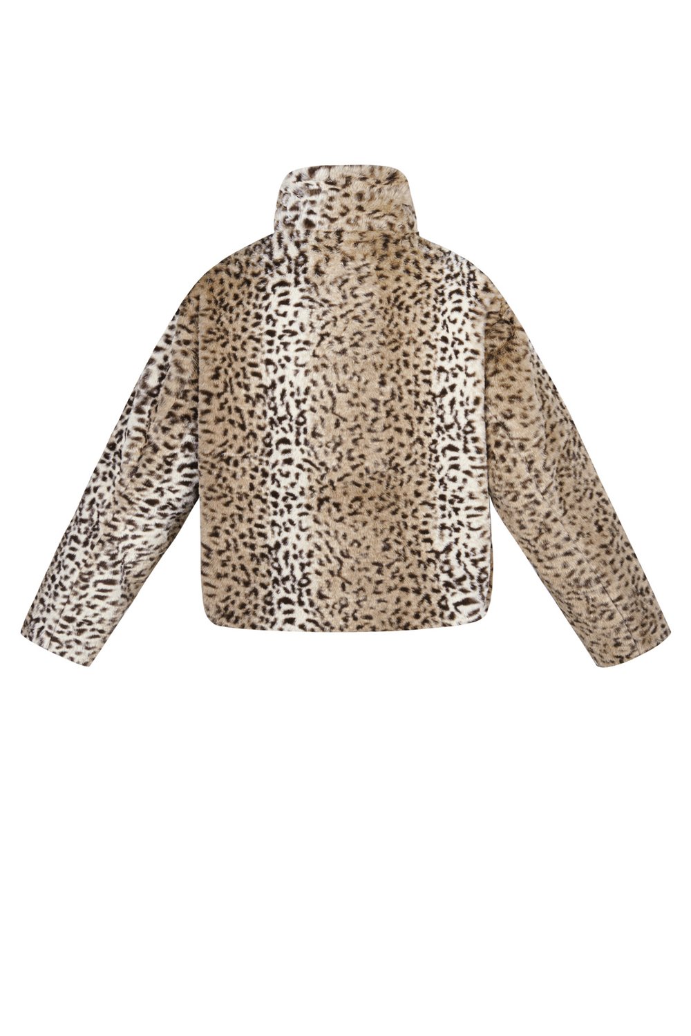 Leopard print jacket Picture7