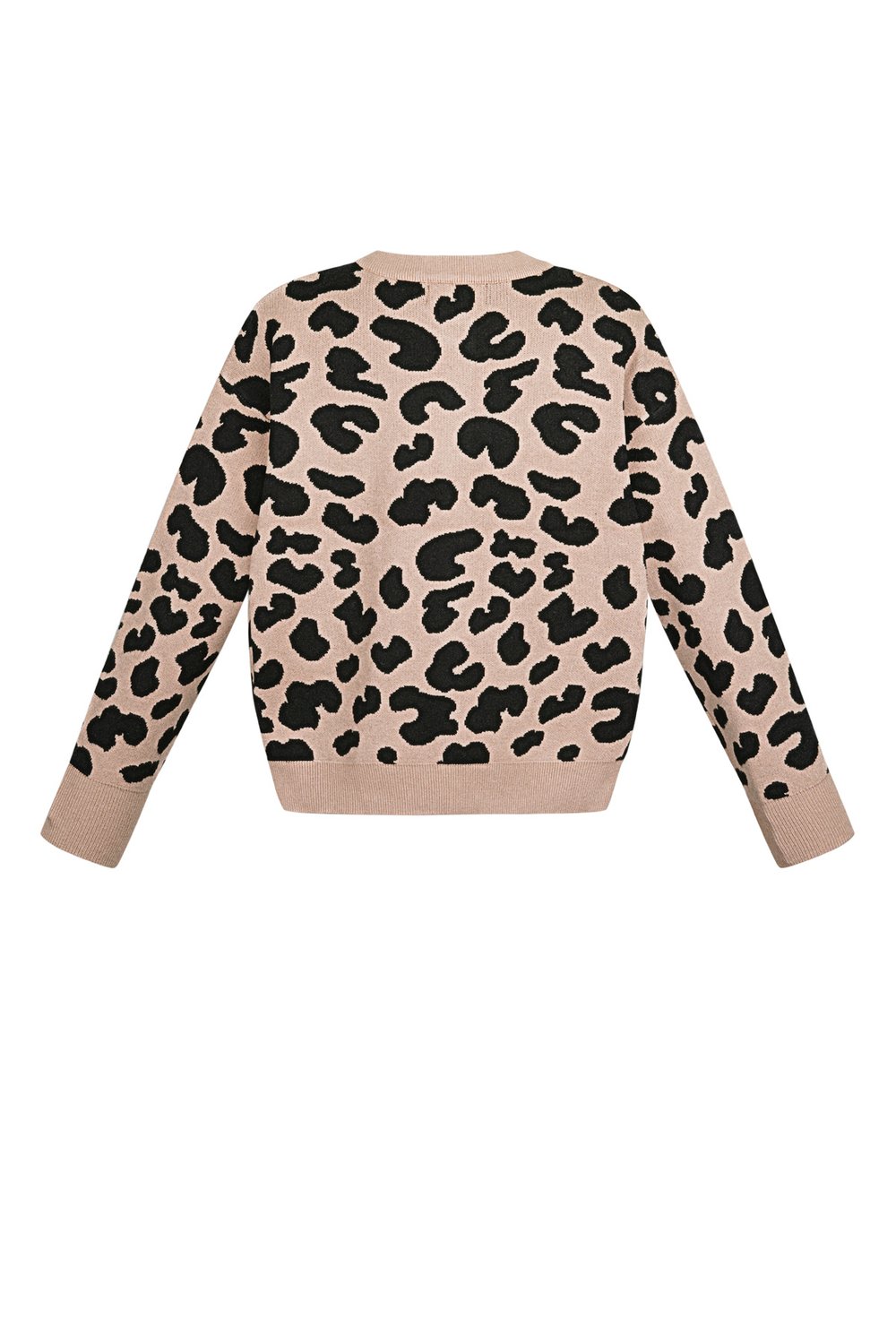Vest Leopard Picture10