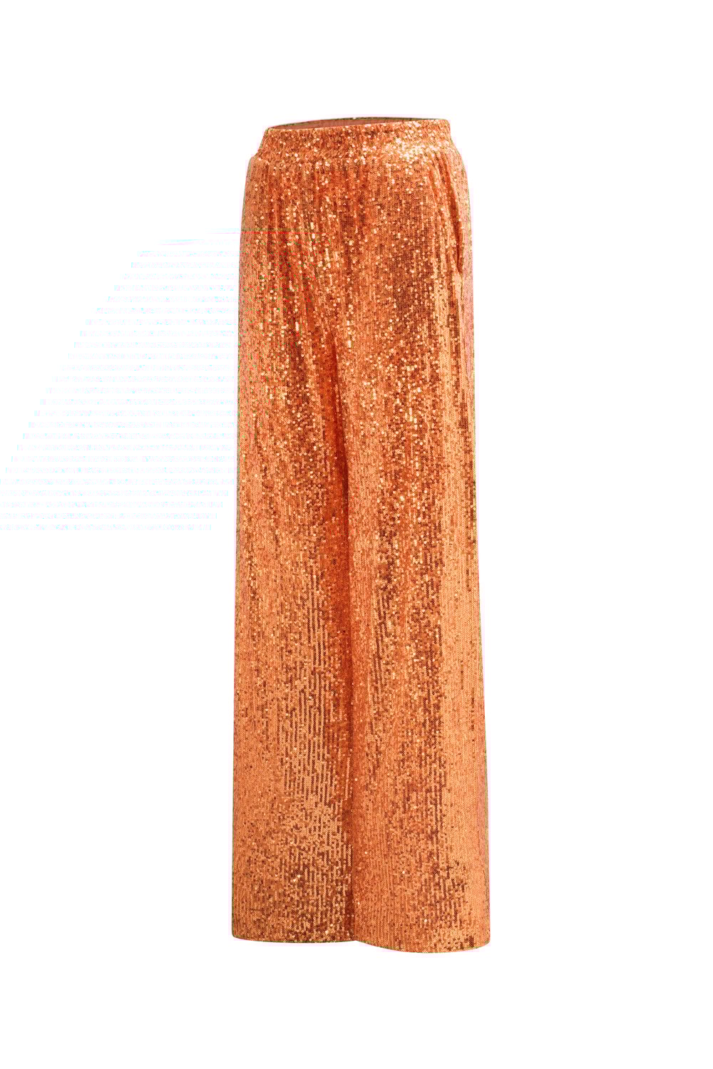 Glitter Straight Pants h5Picture2