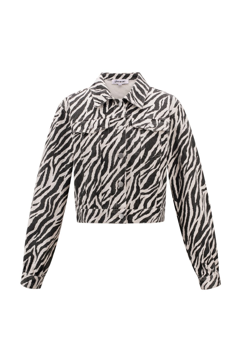 The Zebra Jacket 