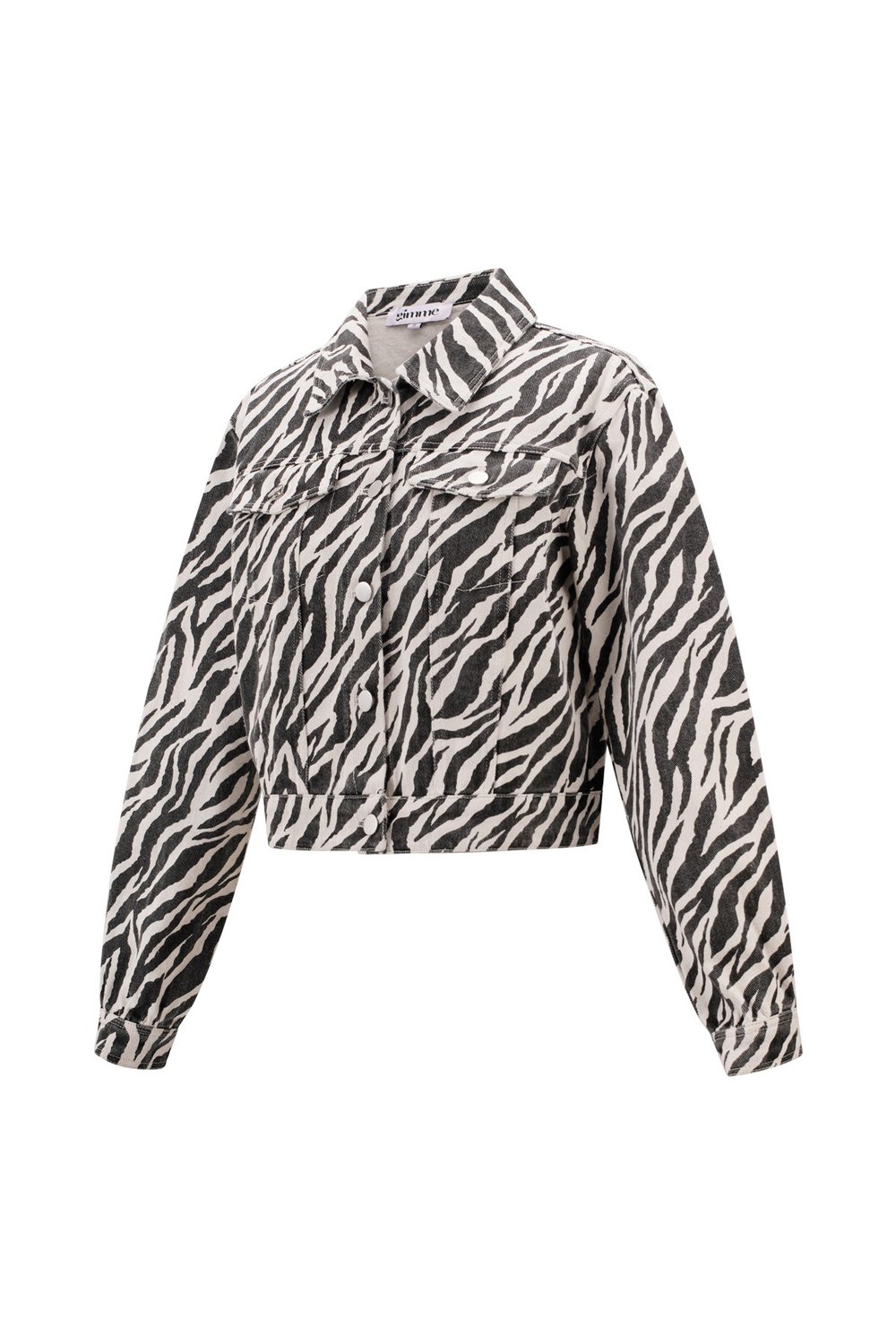 The Zebra Jacket Picture8