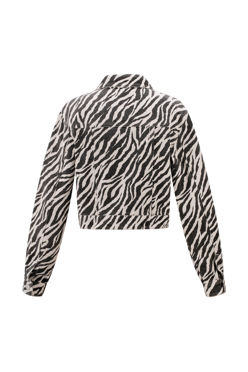 The Zebra Jacket Picture9
