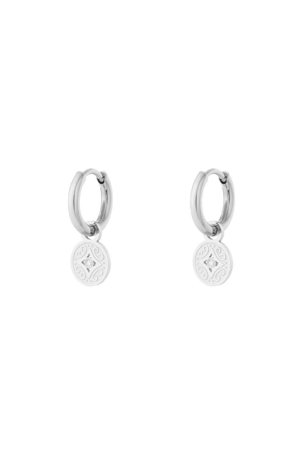 Roma coin earrings h5Picture3