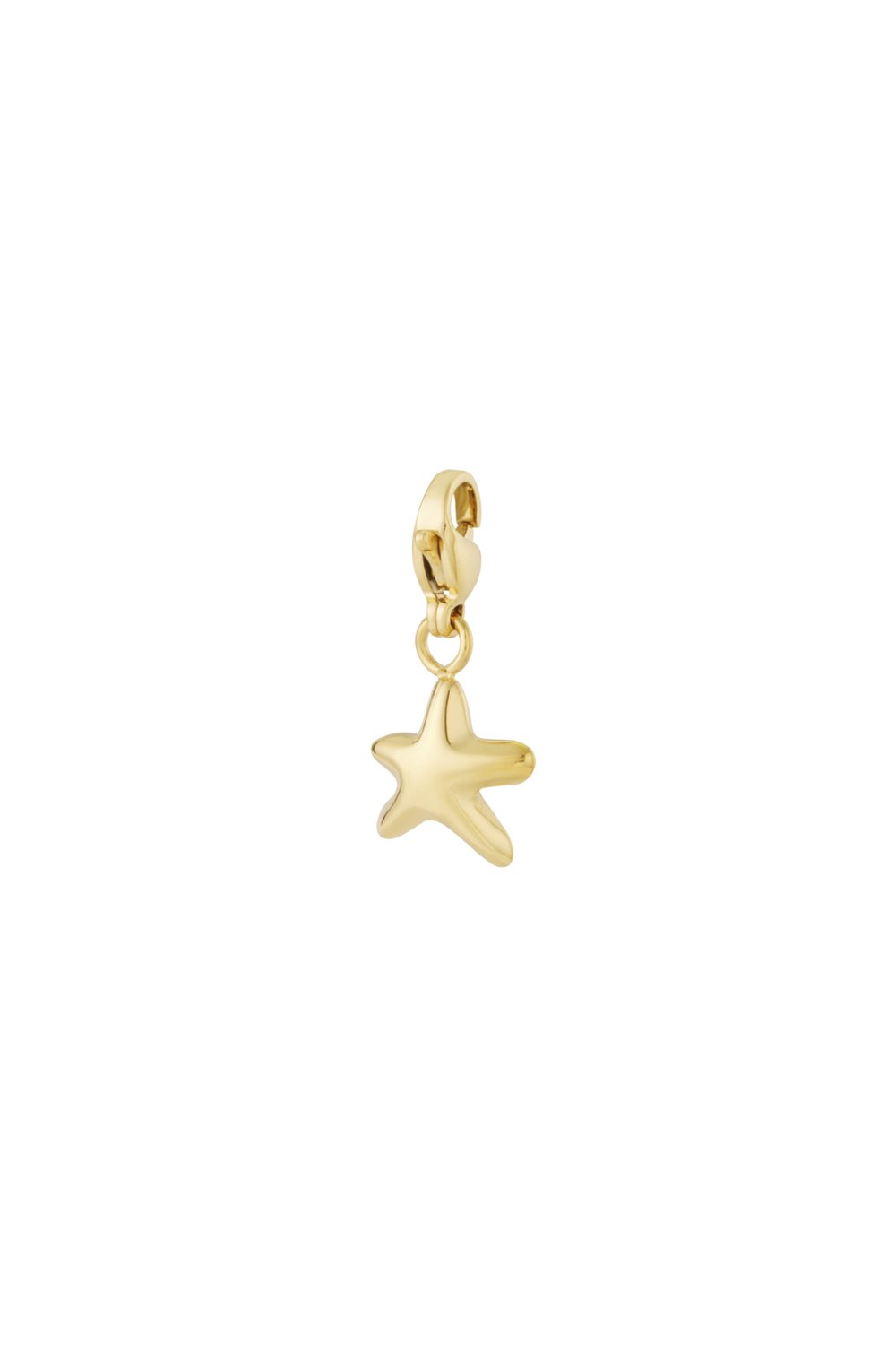 Puffy star jewelry charm 