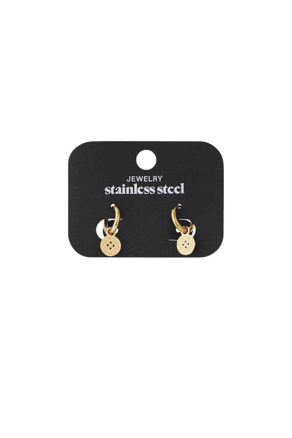 Roma coin earrings h5Picture4