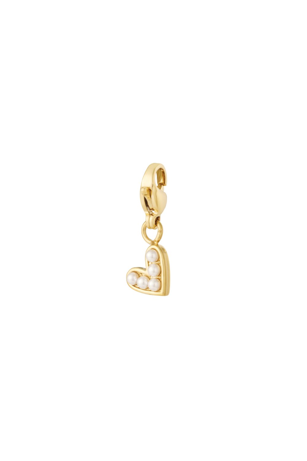 Stainless Steel Jewelry Charms Heart Casual Daily 