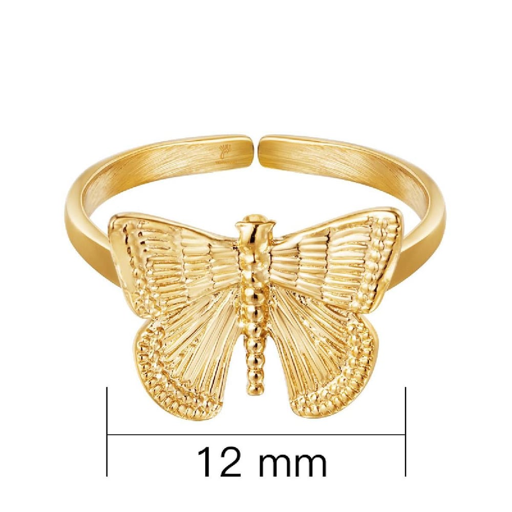 Ring Butterfly Picture2