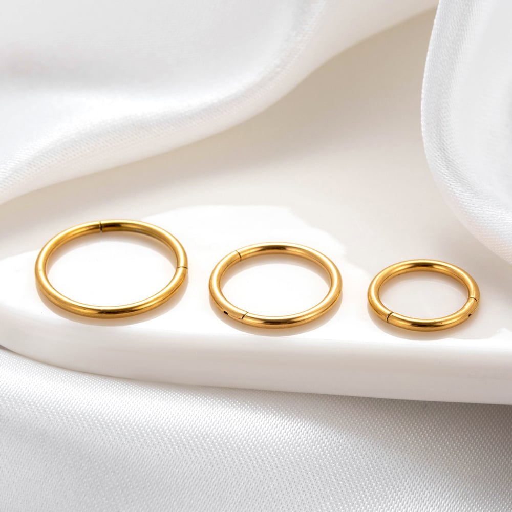 1 Piece Simple Series Classic Geometric Titanium Steel No Plating Material Women Stud Earrings h5Picture2