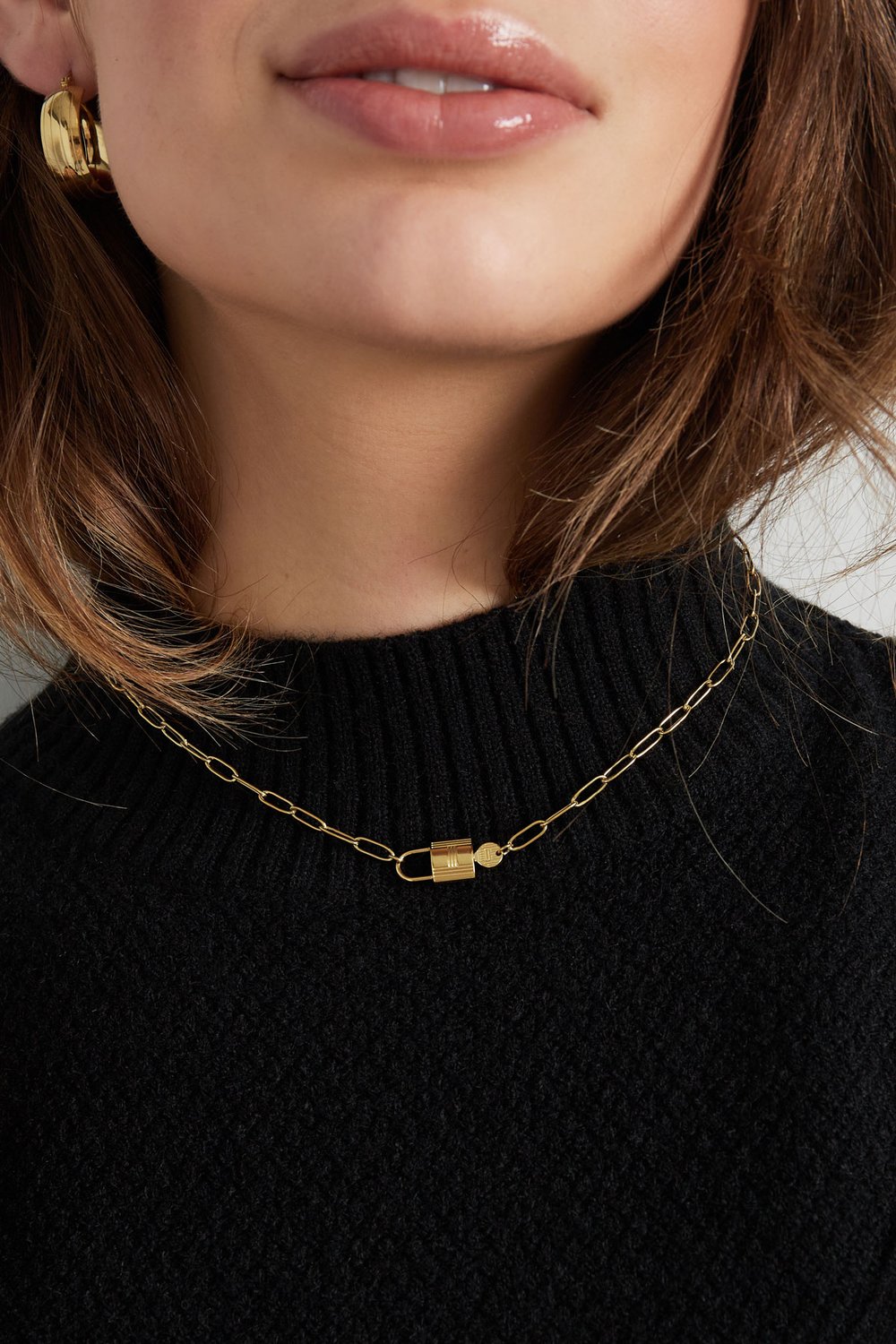 chain link with lock Picture3