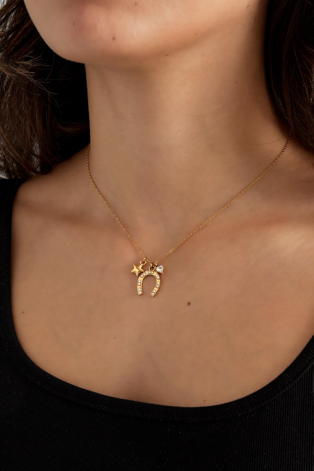 Necklace horseshoe charms - Silver Color color Picture2