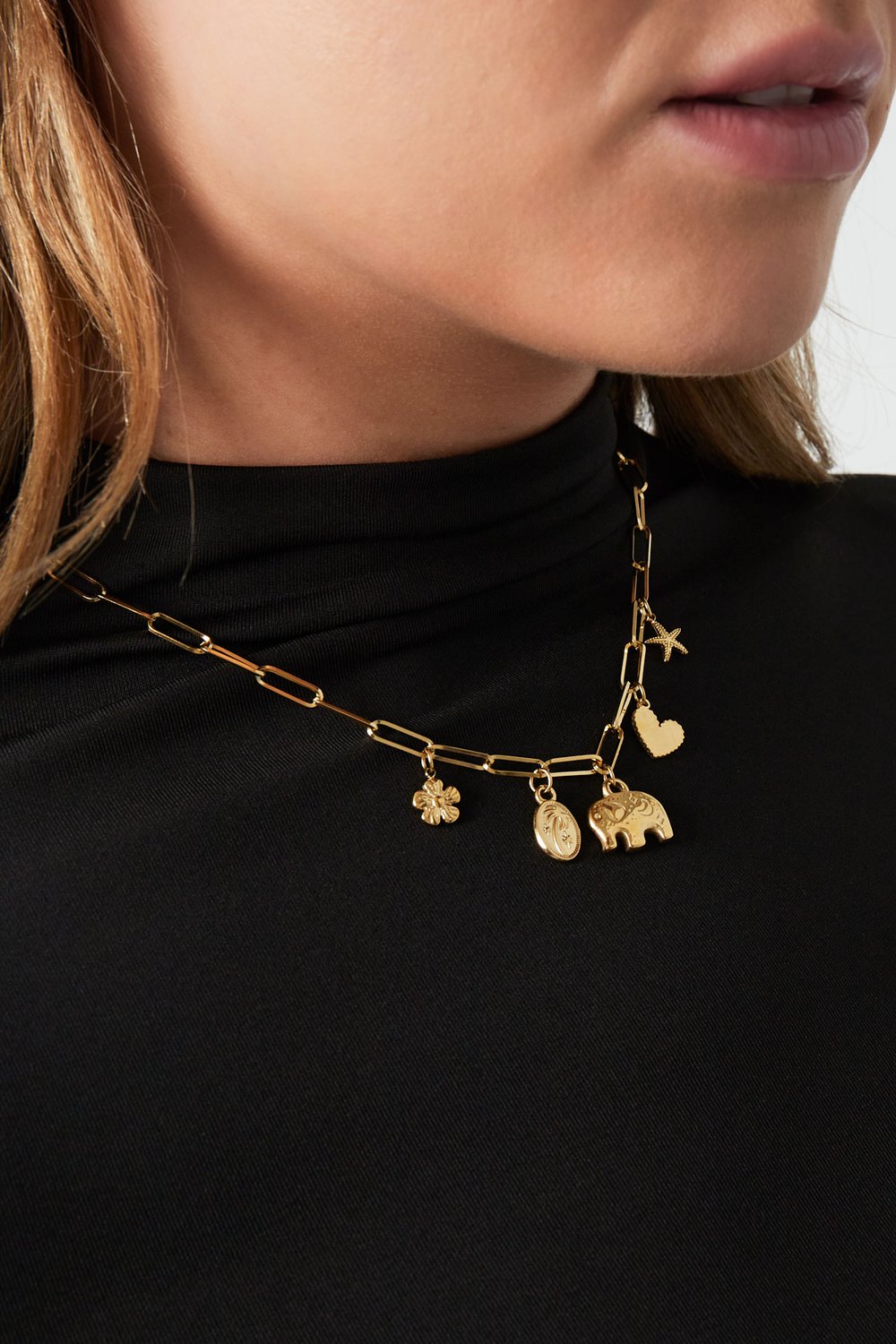 jolly charms necklace Picture3