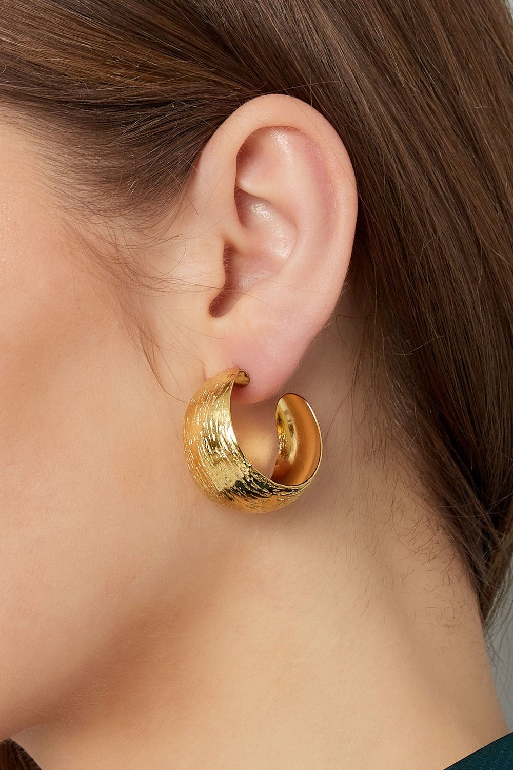 Earrings moon brushed - Silver Color color h5Picture7