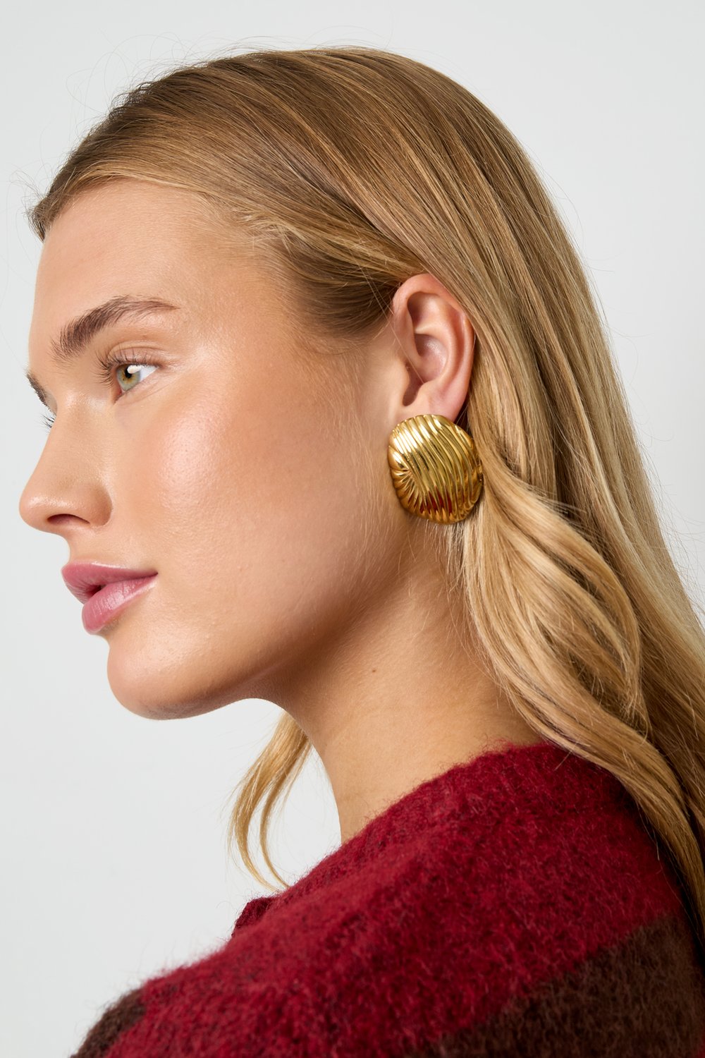 Stainless Steel Stud Earrings irregular shape Casual Daily Simple Series Women's jewelry h5Picture2