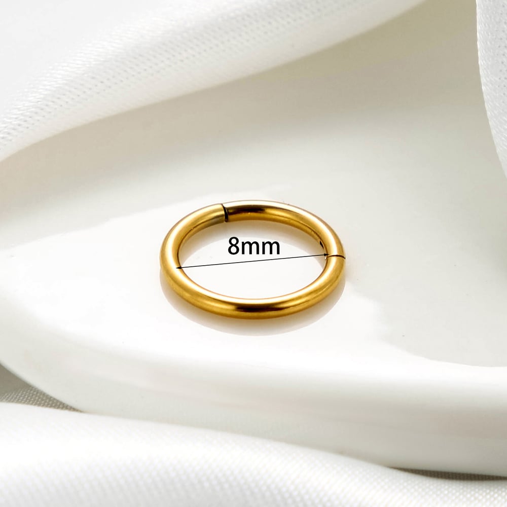 1 Piece Simple Series Classic Geometric Titanium Steel No Plating Material Women Stud Earrings h5Picture4